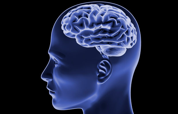 20091021 gaf u40 003 - Ученые: работа по ночам убивает клетки головного мозга