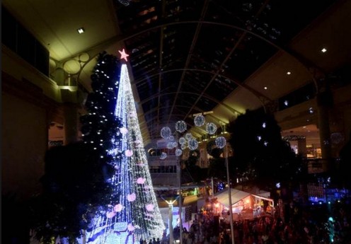 Screenshot 71 - В Австралии нарядили самую яркую рождественскую елку в мире