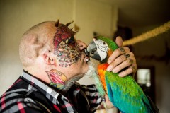 Ted Richards, 56, from Hartcliffe in Bristol, who has had his ears taken off so he can look more like his Parrot. August 16 2015.A man who had his face and eyeballs tattooed to look like his pet parrots has gone a step further - by cutting off his EARS. Bonkers Ted Richards, 56, is obsessed by pets Ellie, Teaka, Timneh, Jake and Bubi and has his face tattooed with colourful feathers. But the animal nut - who has 110 tattoos, 50 piercings and a split tongue - has now had both his ears removed by a surgeon in a six hour operation. Eccentric Ted has given his severed ears to a friend who 