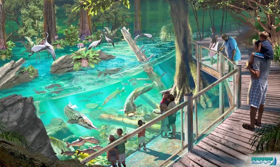 0326 BILO BI aquarium p4 - В США откроется уникальный по величине океанариум