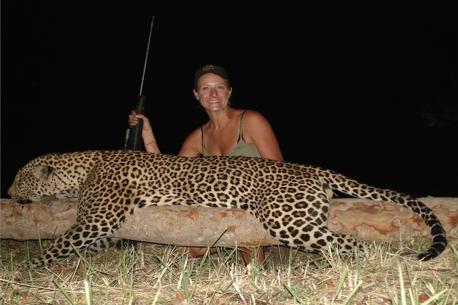Successful women hunt leopard - Южная Африка запрещает охоту на леопардов в 2016 году
