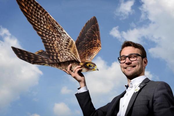 Robird to scare birds away from airports - Ученые создали сокола-робота, который будет охранять аэропорт от живых птиц