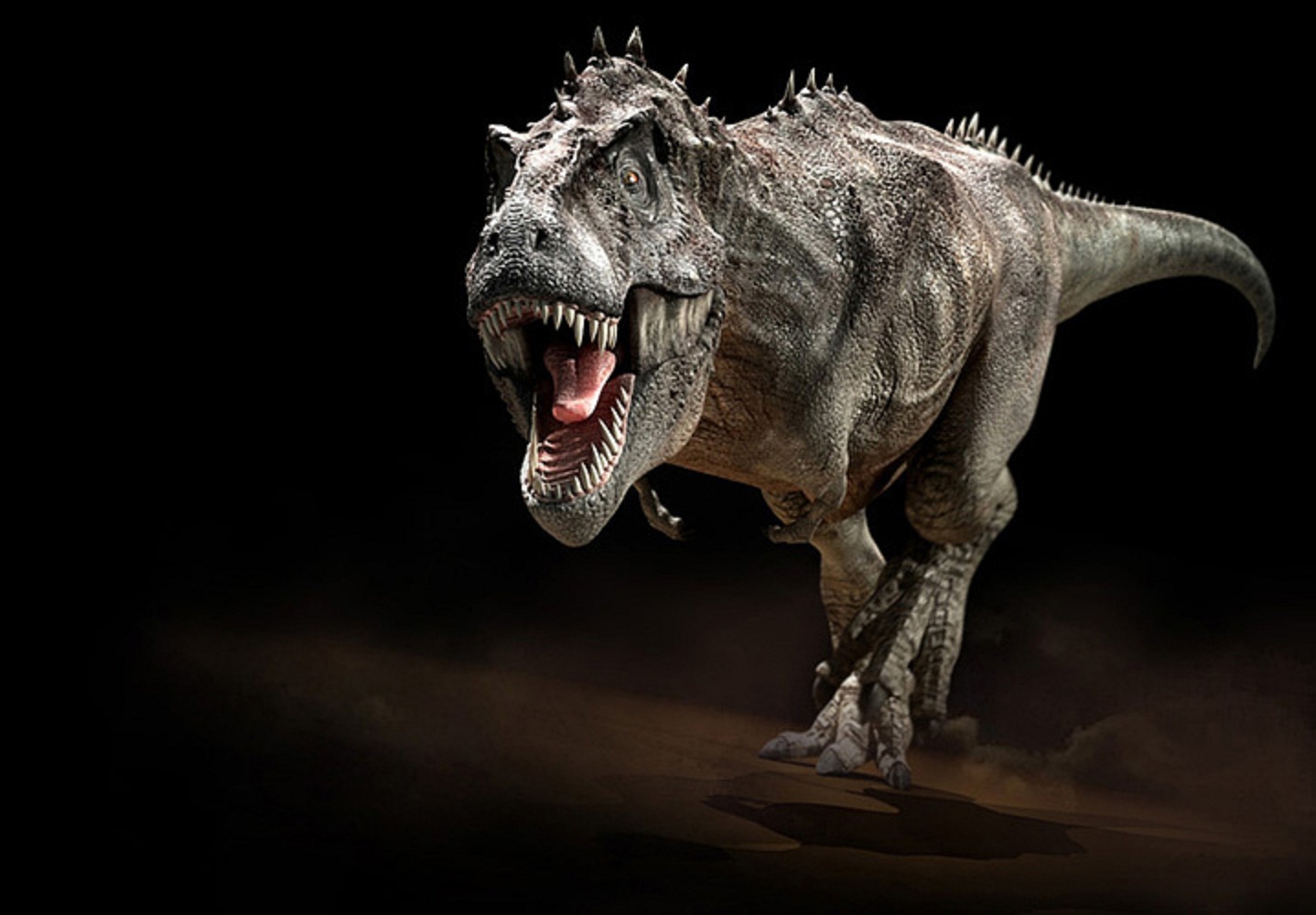 tyrannosaurus rex - Ученые выяснили, что империя динозавров находилась в упадке перед падением астероида
