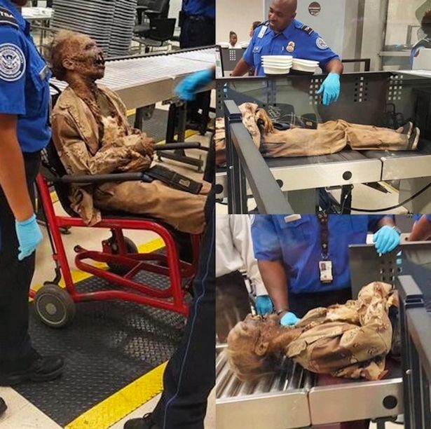 Mummified corpse sent through international airport security - В аэропорту Атланты был обнаружен мумифицированный труп