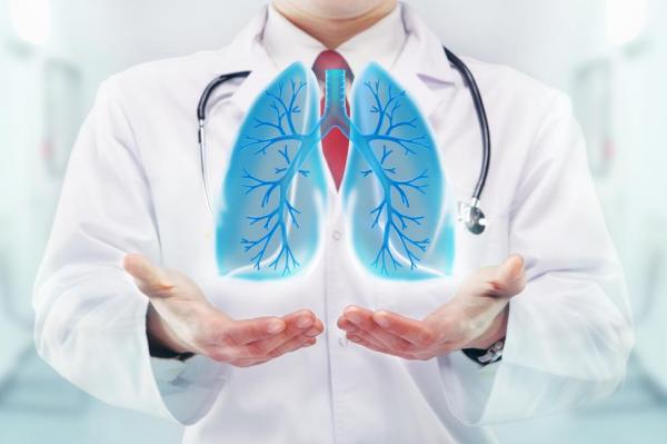 Researchers find bioreactor supports whole lung regeneration - Ученые нашли способ лечить смертельные заболевания легких
