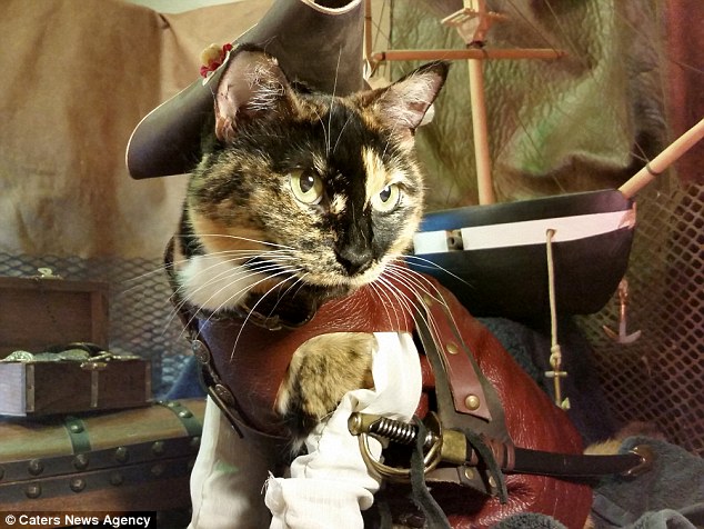 Сантехник стал знаменитым благодаря косплеям, которые он делает при помощи своих кошек