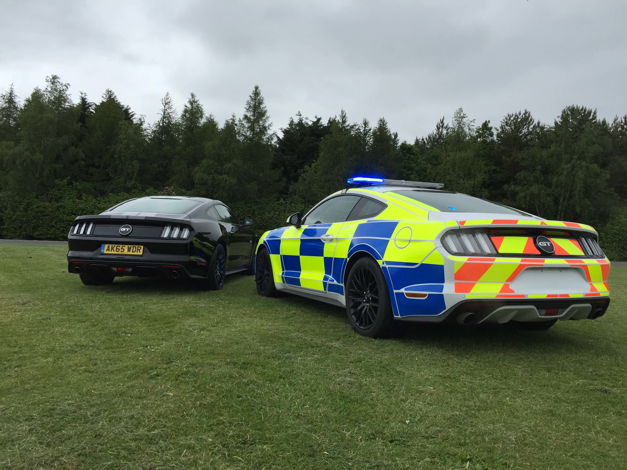 Автопарк британской полиции пополнился новыми Ford Mustang