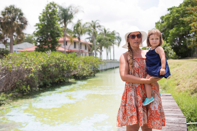 Власти Флориды закрыли пляжи из-за огромного количества водорослей