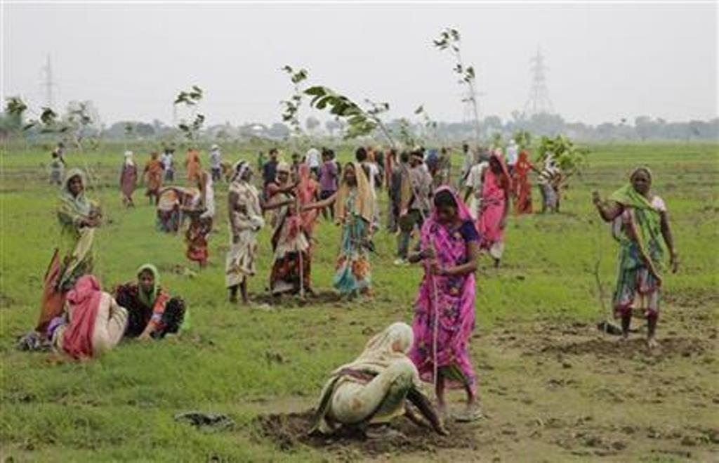 460x 1 - Индия собирается установить мировой рекорд, высадив 50 миллионов деревьев