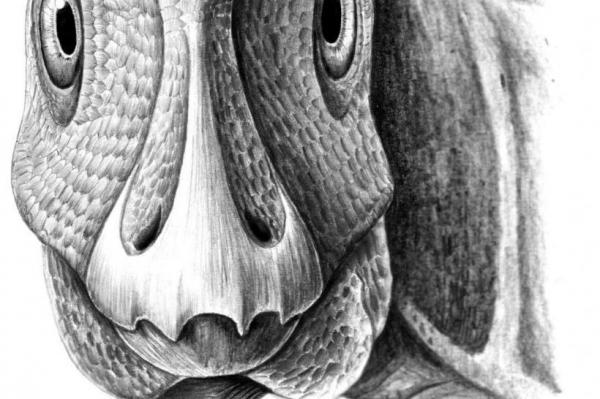 First fossil facial tumor found in duck billed dinosaur - Ученые впервые в истории обнаружили у ископаемого динозавра опухоль
