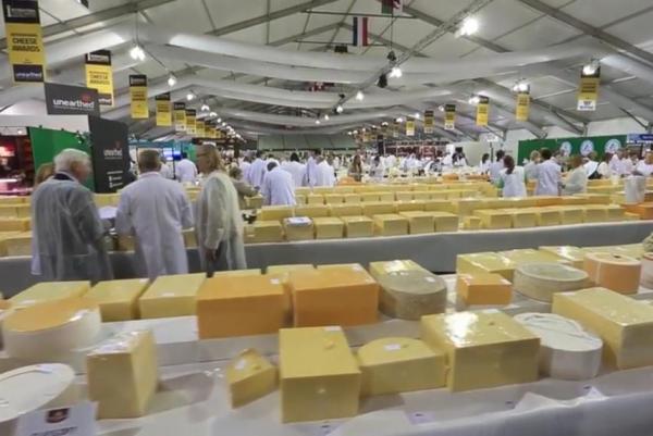 International Cheese Awards features more than 5000 cheeses - В Великобритании прошла крупнейшая выставка сыров