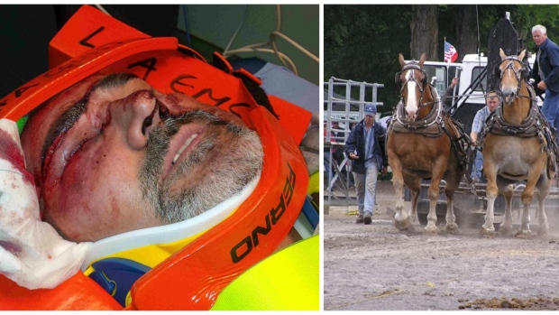 man saves child from stampeding horses - Мужчина накрыл собой девочку, попавшую под табун лошадей