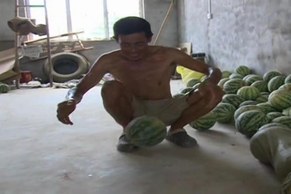 Chinese farmers grow unusually strong watermelons - Китайский фермер открыл новый вид сверхпрочных арбузов