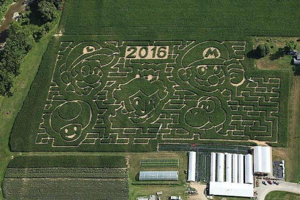 New York farm creates Super Mario Bros themed corn maze - Фермер превратил свое поле в лабиринт в виде Супер Марио