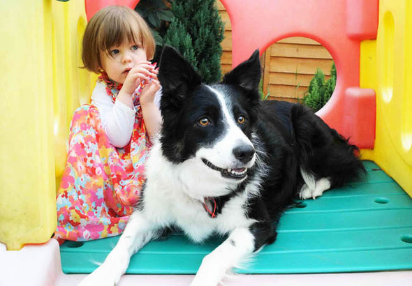 bessie 613482 - Собака предупредила врачей о тяжёлой болезни ребёнка