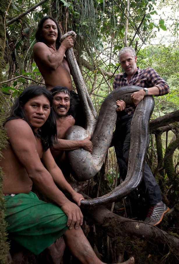 ТОП 3: Самые большие змеи в мире - как распознать «фейк»?
