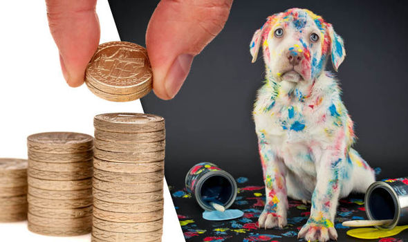 doggo 705872 - Владельцы домашних животных потратили 4 миллиарда фунтов на своих питомцев