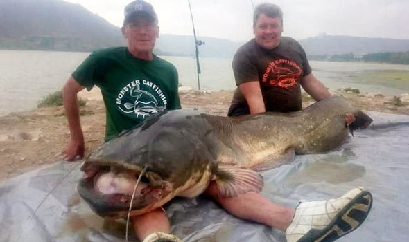 Big fish Trevor Hart 723801 - В Испании пойман гигантский сом