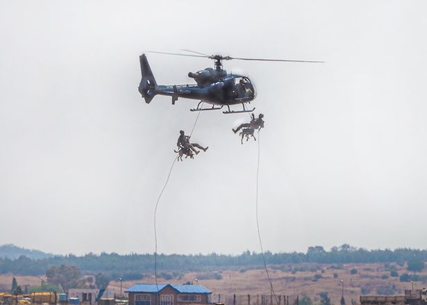 Собак обучат прыгать с парашютами для борьбы с браконьерами