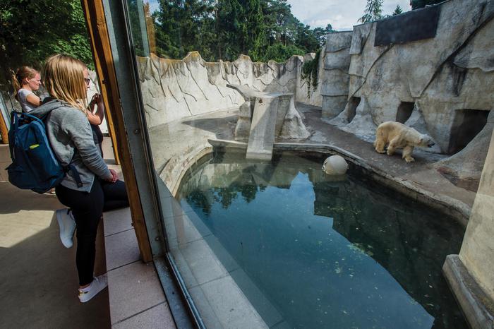 В Европе могут закрыть зоопарки из-за фотовыставки