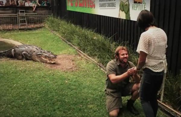 Australian reptile handler proposes to girlfriend with crocodile as witness - Мужчина сделал девушке предложение с крокодилом в качестве свидетеля