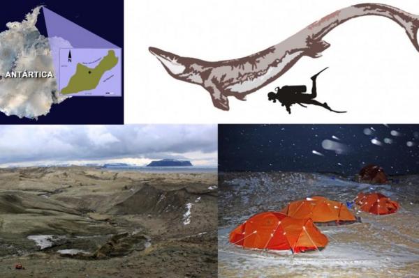 Giant swimming lizard hunted Antarctic seas 66 million years ago - Археологи выяснили, что 66 миллионов лет назад Антарктика принадлежала гигантским водоплавающим ящерам