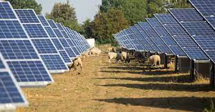 Bez nazvaniyafarm - Фермерам могут запретить устанавливать солнечные батареи на сельхоз-землях