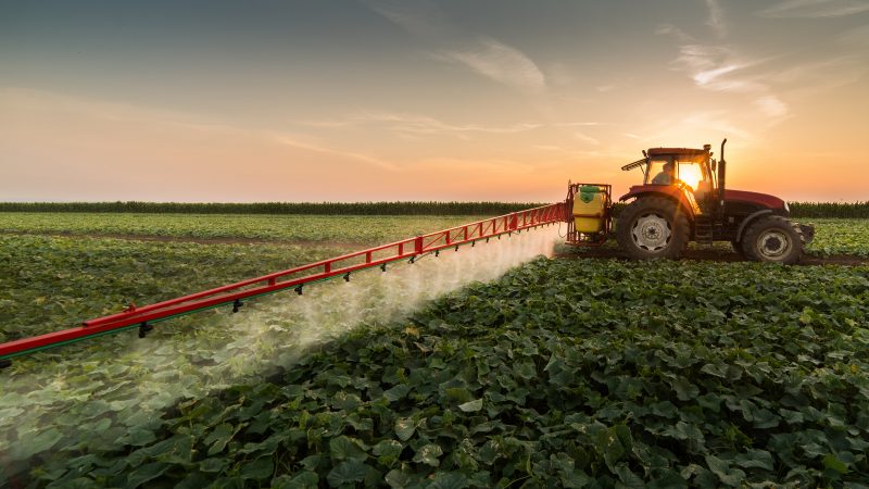 shutterstock 797105296 800x450 1 - ЕС сокращает применение пестицидов на 50%: фермерства перейдут на альтернативные способы борьбы с вредителями