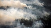 230301133908 01 boreal forests wildfires study intl 180x100 - Почему северные леса могут быть климатической бомбой замедленного действия?