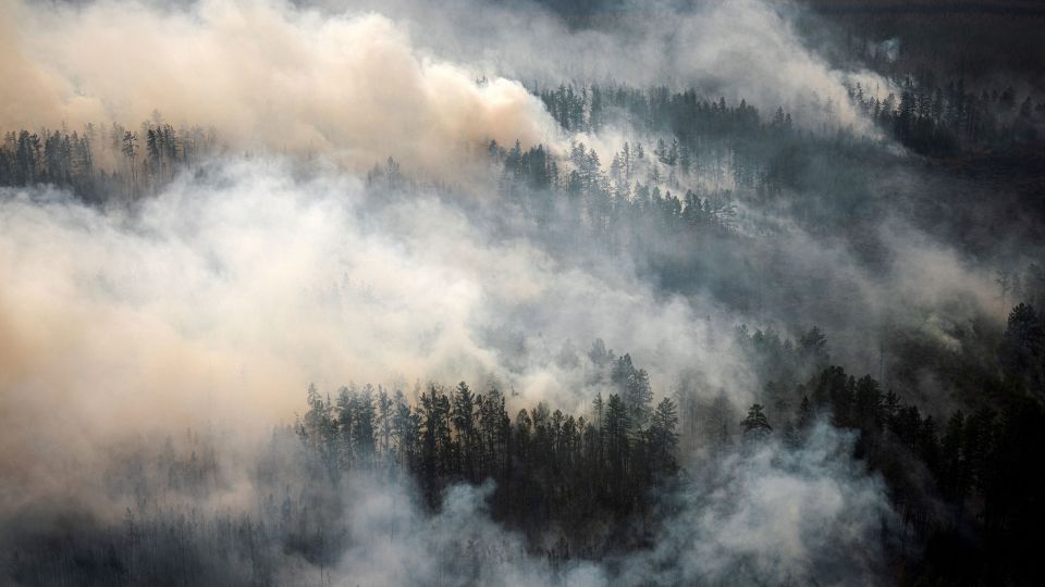 230301133908 01 boreal forests wildfires study intl - Почему северные леса могут быть климатической бомбой замедленного действия?