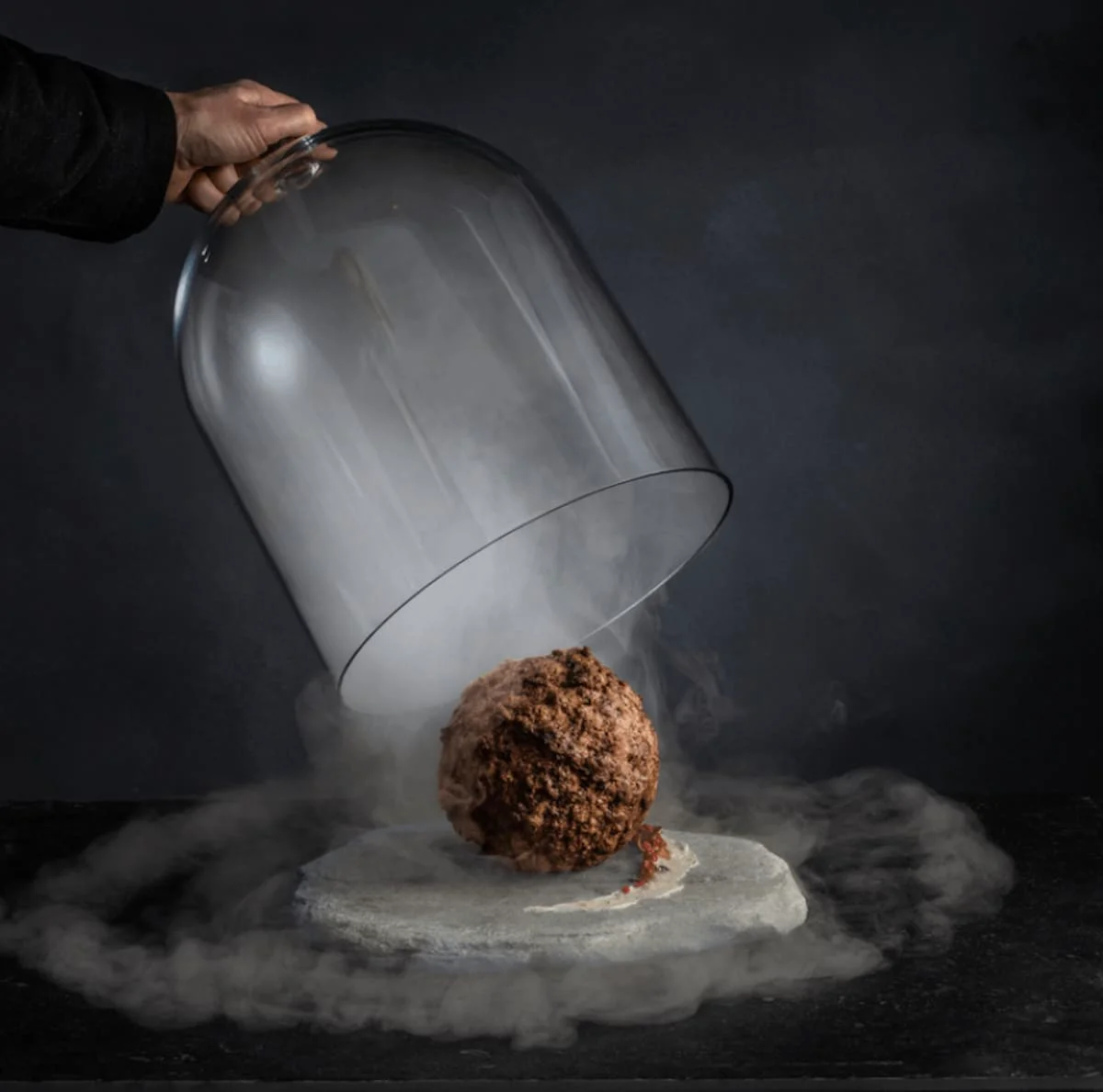 meatball - В Австралии создали фрикадельку из мамонта