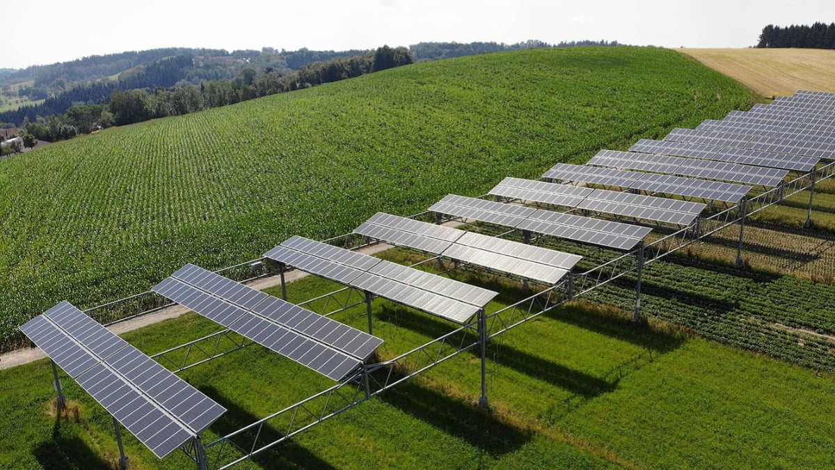 agrovoltaika 1 - Мед на солнечной энергии: как агровольтаика поможет восстановить опылителей