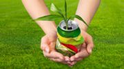 fbb9a7e446b1851445b0a81ec7501e09 180x100 - Как зелёный маркетинг помогает сберечь природу