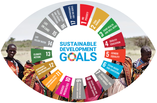 Устойчивое развитие: 17 целей и 169 задач