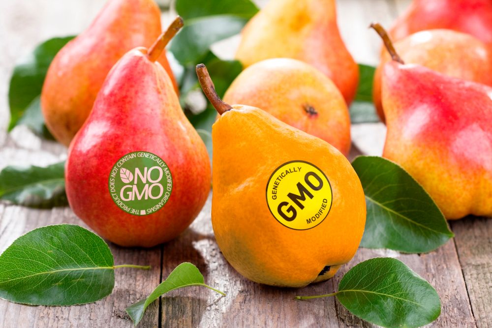 gmo - Европа хочет быть лояльнее к генетически модифицированной еде
