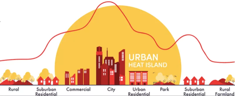 Урбоэкология: экология городов