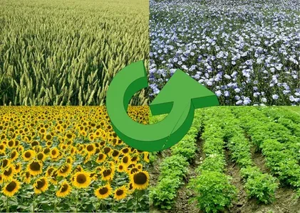 Регенеративное сельское хозяйство: методы и технологии