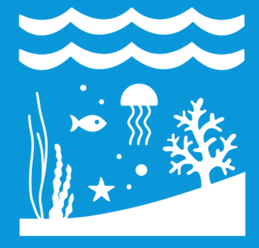 ЦУР 14: Сохранение морских экосистем
