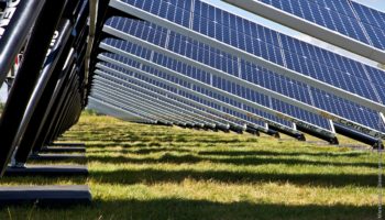 sh paneli 350x200 - Пахотные земли Калифорнии могут быть перепрофилированы для общественной солнечной энергии