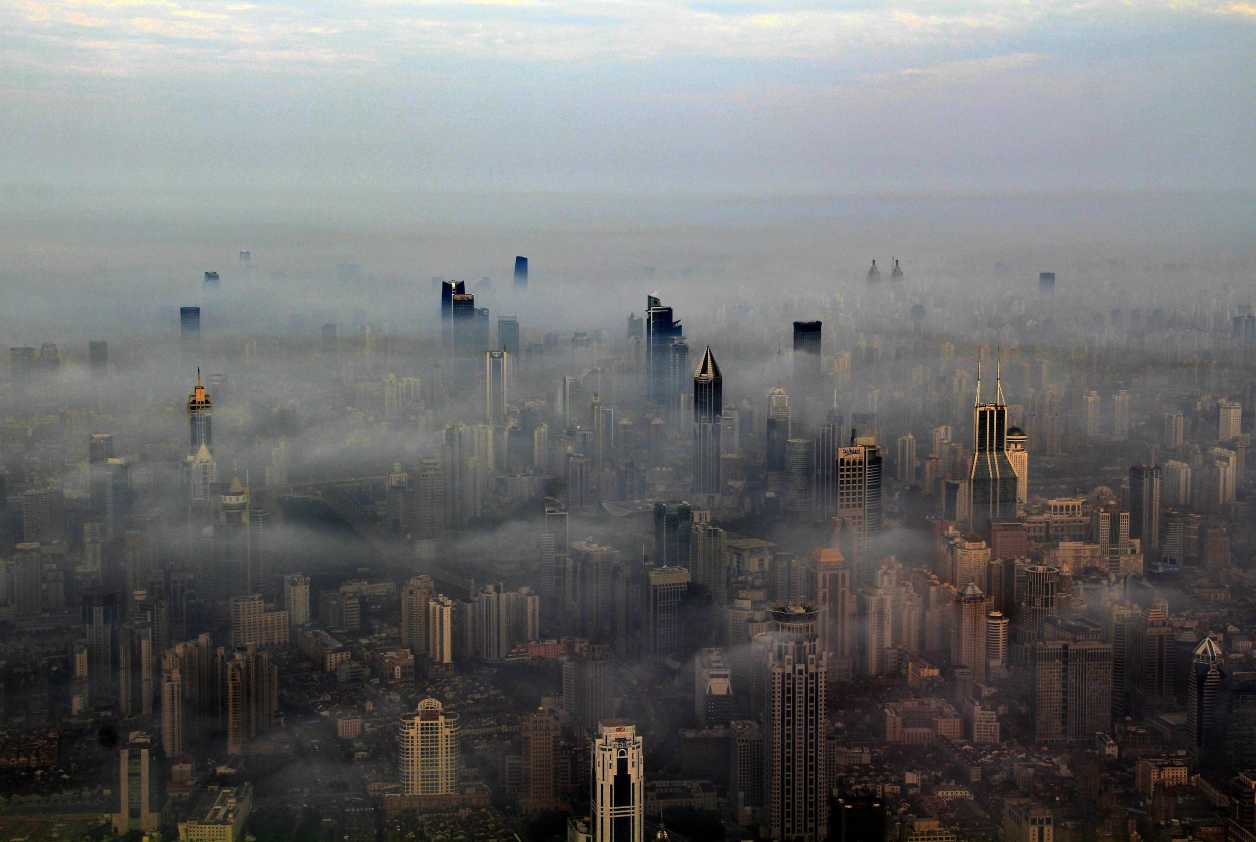 smog scaled - Смог: классификация, причины образования и последствия
