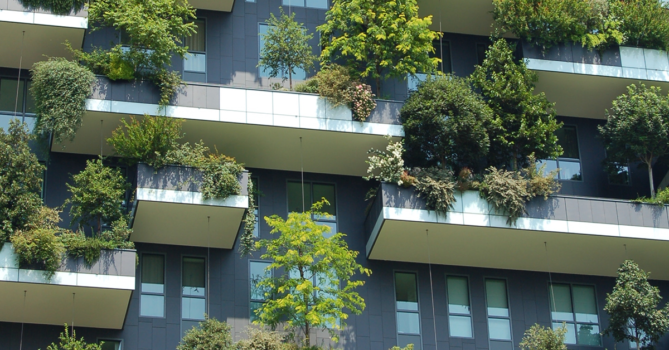 Зелёное строительство: путь к устойчивому будущему