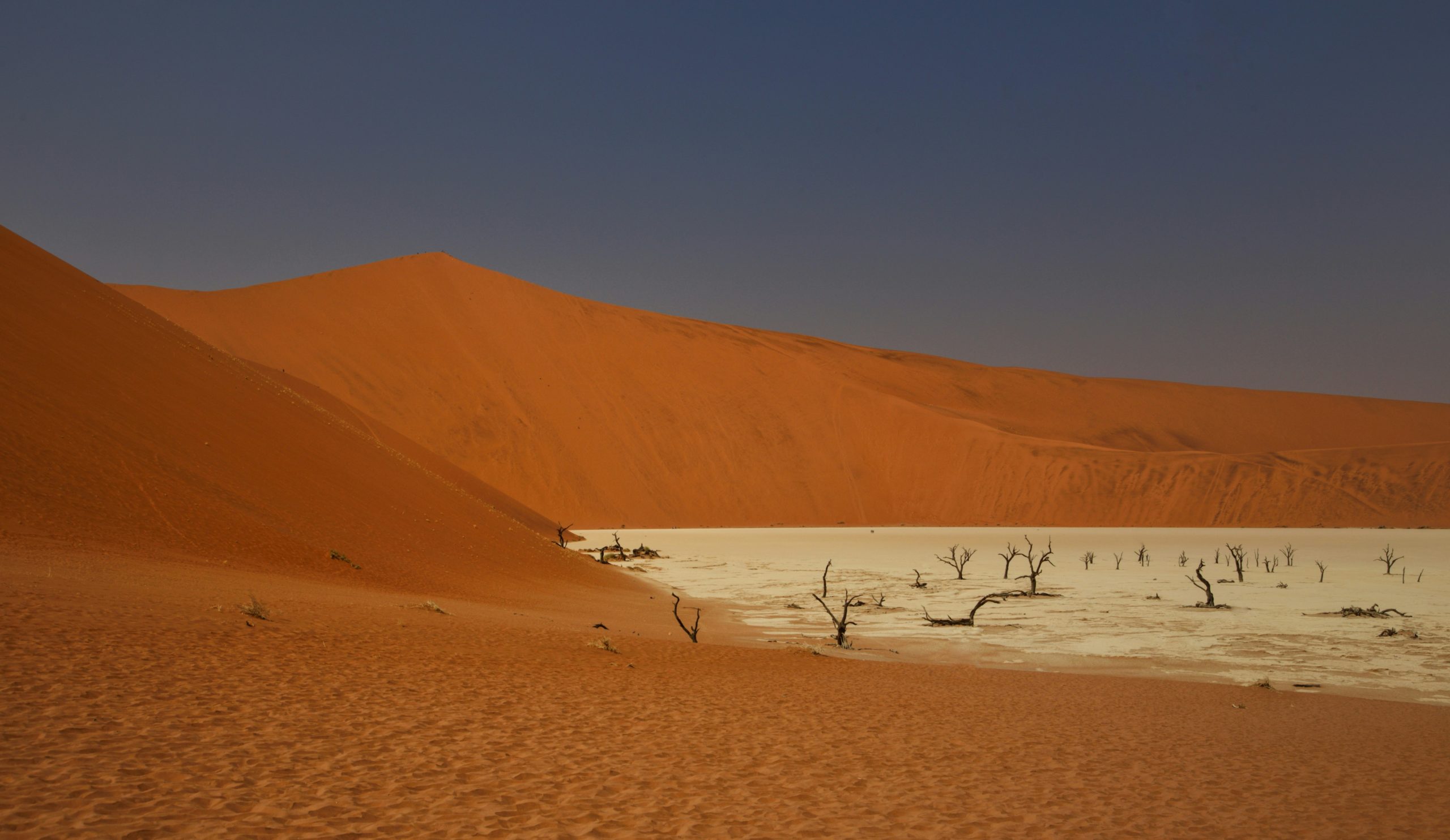Опустынивание земель, как глобальная экологическая проблема